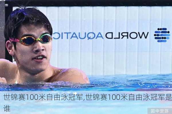 世锦赛100米自由泳冠军,世锦赛100米自由泳冠军是谁