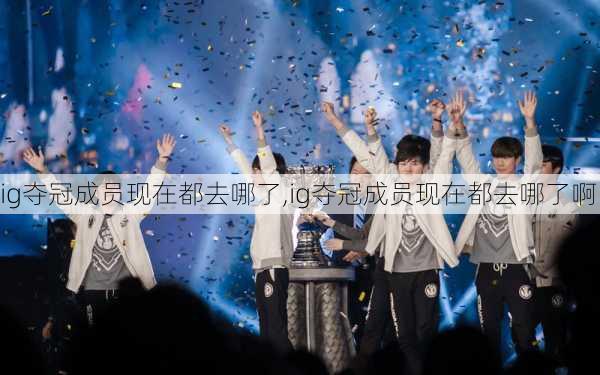 ig夺冠成员现在都去哪了,ig夺冠成员现在都去哪了啊