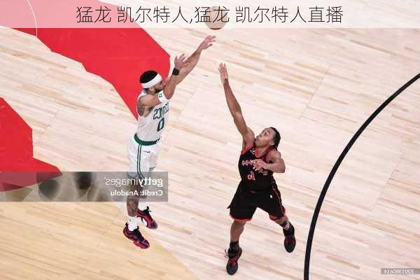 猛龙 凯尔特人,猛龙 凯尔特人直播