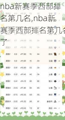 nba新赛季西部排名第几名,nba新赛季西部排名第几名了