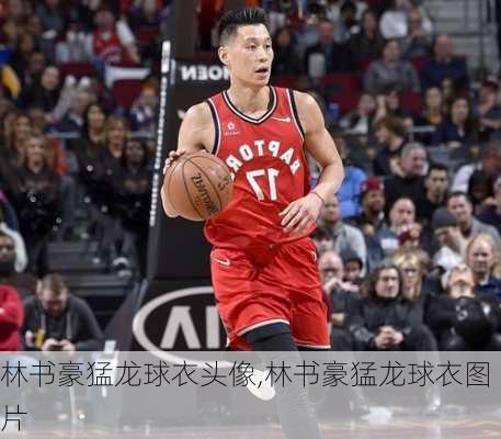 林书豪猛龙球衣头像,林书豪猛龙球衣图片