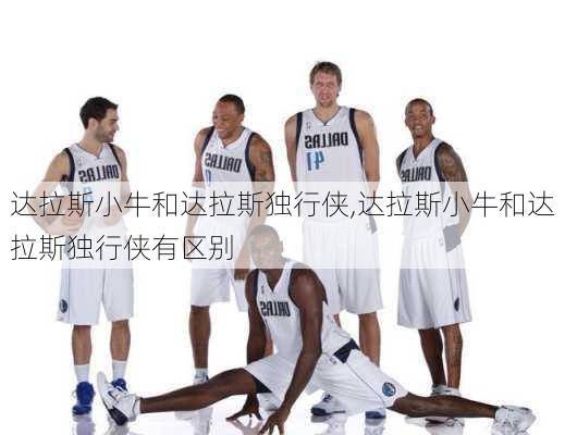 达拉斯小牛和达拉斯独行侠,达拉斯小牛和达拉斯独行侠有区别