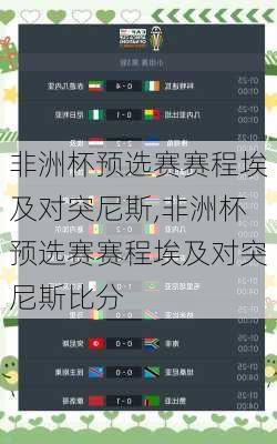 非洲杯预选赛赛程埃及对突尼斯,非洲杯预选赛赛程埃及对突尼斯比分