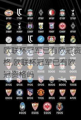 欧联杯冠军已有欧冠资格,欧联杯冠军已有欧冠资格吗