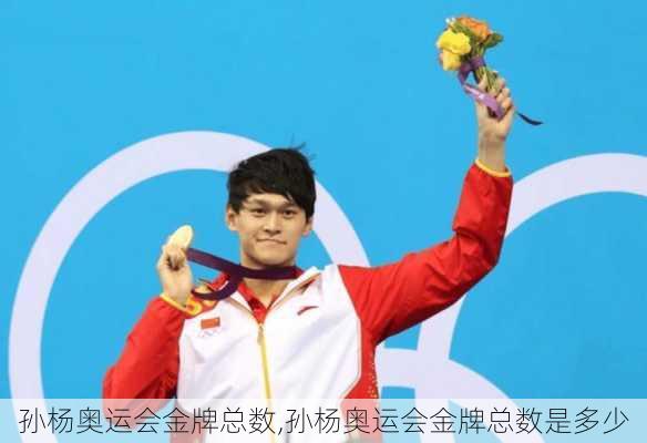 孙杨奥运会金牌总数,孙杨奥运会金牌总数是多少