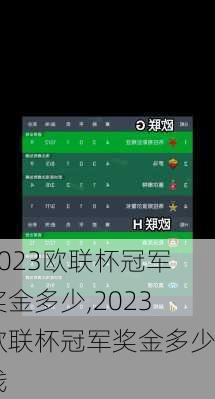 2023欧联杯冠军奖金多少,2023欧联杯冠军奖金多少钱