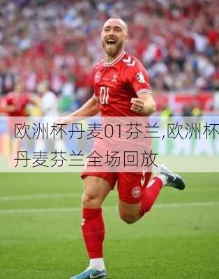 欧洲杯丹麦01芬兰,欧洲杯丹麦芬兰全场回放