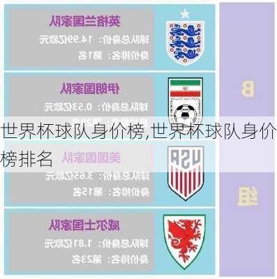 世界杯球队身价榜,世界杯球队身价榜排名