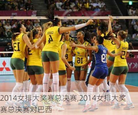 2014女排大奖赛总决赛,2014女排大奖赛总决赛对巴西