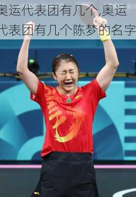 奥运代表团有几个,奥运代表团有几个陈梦的名字