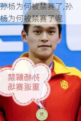 孙杨为何被禁赛了,孙杨为何被禁赛了呢
