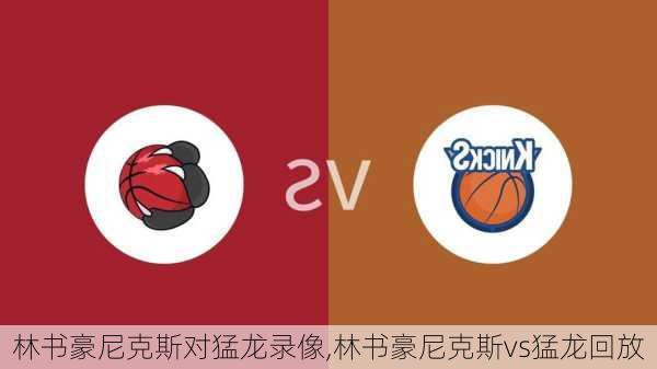 林书豪尼克斯对猛龙录像,林书豪尼克斯vs猛龙回放