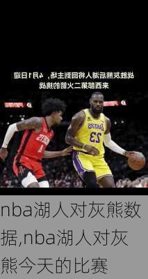nba湖人对灰熊数据,nba湖人对灰熊今天的比赛