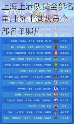 上海上港队员全部名单,上海上港队员全部名单照片