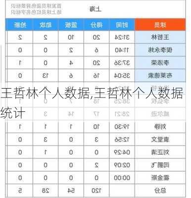 王哲林个人数据,王哲林个人数据统计