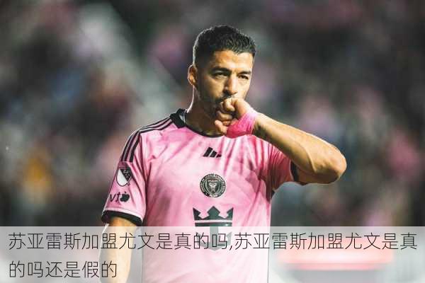 苏亚雷斯加盟尤文是真的吗,苏亚雷斯加盟尤文是真的吗还是假的