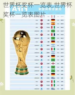 世界杯奖杯一览表,世界杯奖杯一览表图片