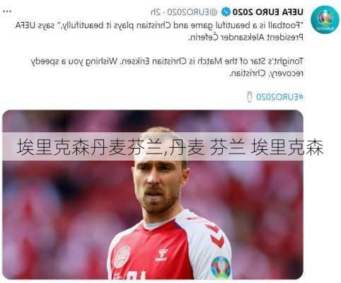 埃里克森丹麦芬兰,丹麦 芬兰 埃里克森