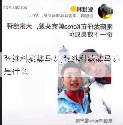 张继科藏獒马龙,张继科藏獒马龙是什么