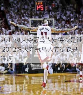 2012热火夺冠鸟人安德森是谁,2012热火夺冠鸟人安德森是谁啊