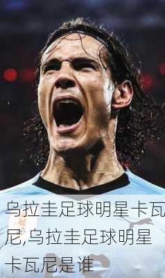 乌拉圭足球明星卡瓦尼,乌拉圭足球明星卡瓦尼是谁
