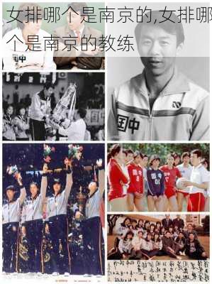 女排哪个是南京的,女排哪个是南京的教练