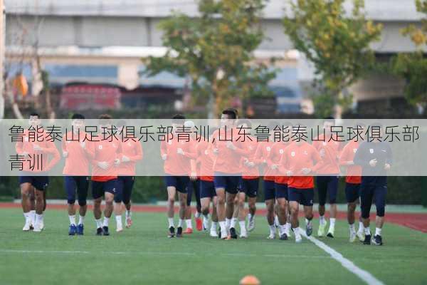 鲁能泰山足球俱乐部青训,山东鲁能泰山足球俱乐部青训