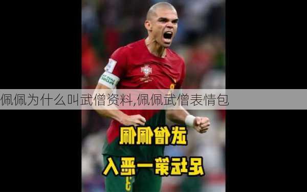佩佩为什么叫武僧资料,佩佩武僧表情包