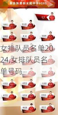 女排队员名单2024,女排队员名单号码