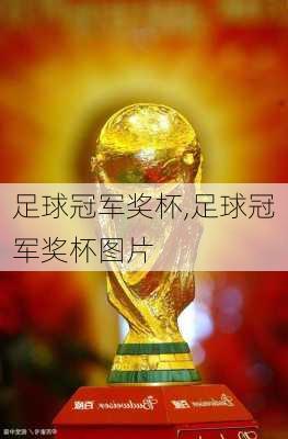 足球冠军奖杯,足球冠军奖杯图片