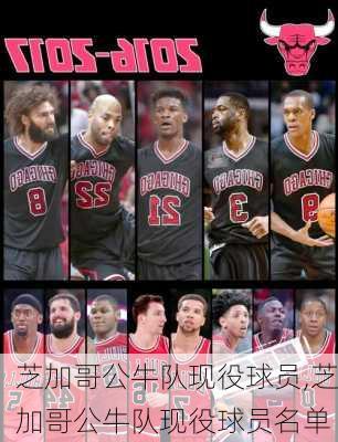 芝加哥公牛队现役球员,芝加哥公牛队现役球员名单