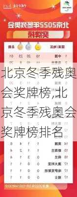 北京冬季残奥会奖牌榜,北京冬季残奥会奖牌榜排名