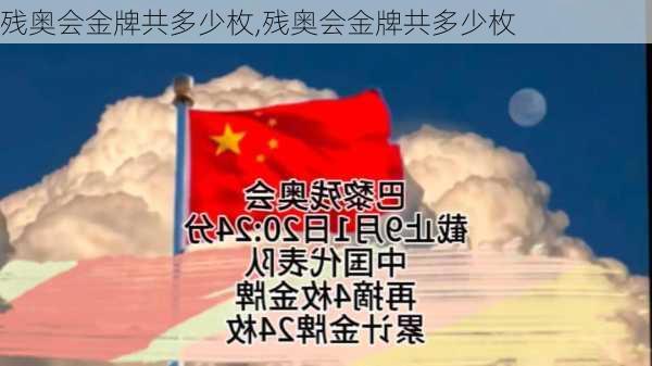 残奥会金牌共多少枚,残奥会金牌共多少枚