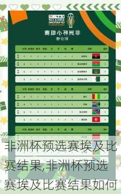 非洲杯预选赛埃及比赛结果,非洲杯预选赛埃及比赛结果如何