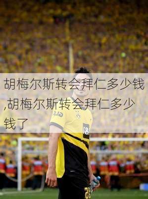 胡梅尔斯转会拜仁多少钱,胡梅尔斯转会拜仁多少钱了