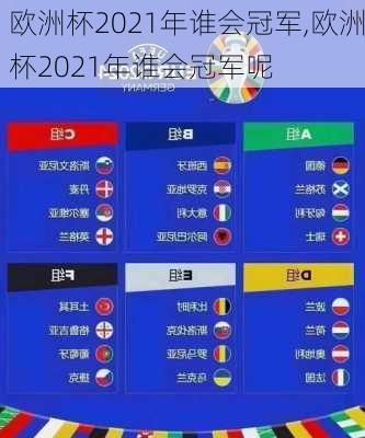 欧洲杯2021年谁会冠军,欧洲杯2021年谁会冠军呢