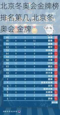 北京冬奥会金牌榜排名第几,北京冬奥会 金牌