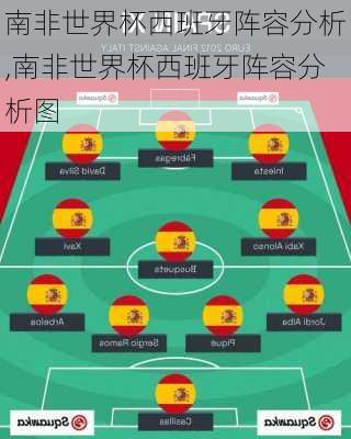 南非世界杯西班牙阵容分析,南非世界杯西班牙阵容分析图