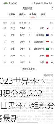 2023世界杯小组积分榜,2023世界杯小组积分榜最新