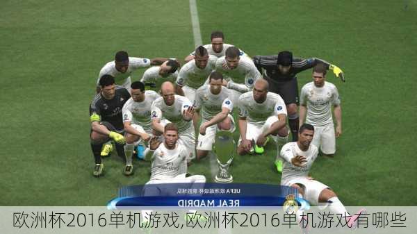 欧洲杯2016单机游戏,欧洲杯2016单机游戏有哪些