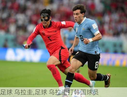 足球 乌拉圭,足球 乌拉圭打韩国球员