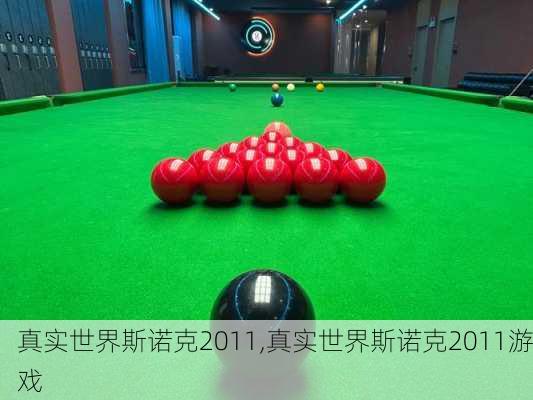 真实世界斯诺克2011,真实世界斯诺克2011游戏