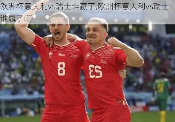 欧洲杯意大利vs瑞士谁赢了,欧洲杯意大利vs瑞士谁赢了啊