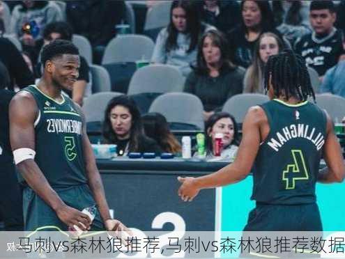 马刺vs森林狼推荐,马刺vs森林狼推荐数据