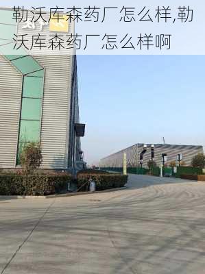 勒沃库森药厂怎么样,勒沃库森药厂怎么样啊