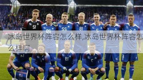 冰岛世界杯阵容怎么样,冰岛世界杯阵容怎么样啊