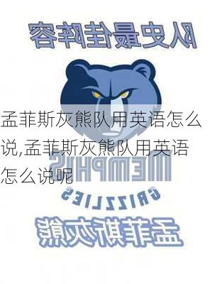 孟菲斯灰熊队用英语怎么说,孟菲斯灰熊队用英语怎么说呢
