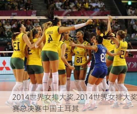 2014世界女排大奖,2014世界女排大奖赛总决赛中国土耳其