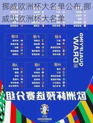 挪威欧洲杯大名单公布,挪威队欧洲杯大名单