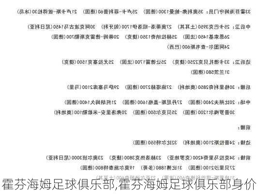 霍芬海姆足球俱乐部,霍芬海姆足球俱乐部身价